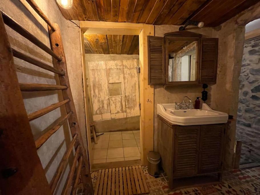 Maison Vigneron - Maison Et Studio Saint-Didier-sur-Beaujeu 外观 照片
